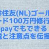 三井住友(NL)ゴールドカード100万円修行はpaypayでもできる？解説と注意点を伝授